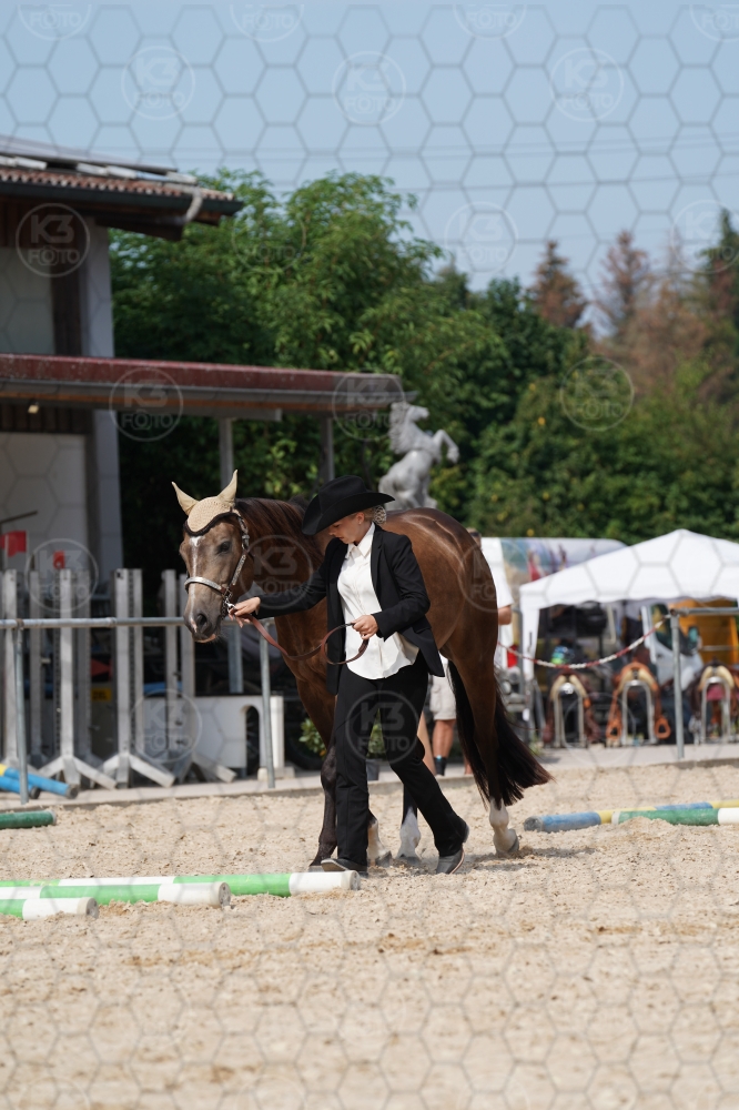 s_A9_09912.jpg